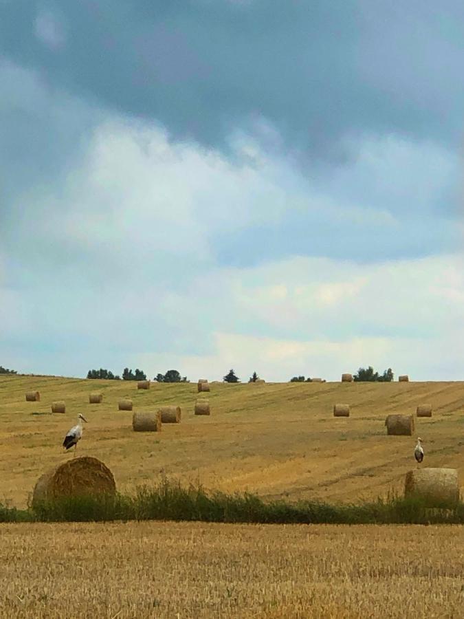 Agroturystyka „Nadbuzanski Swit” Wola Uhruska Eksteriør billede