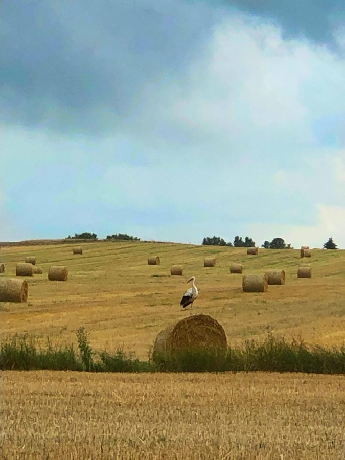Agroturystyka „Nadbuzanski Swit” Wola Uhruska Eksteriør billede